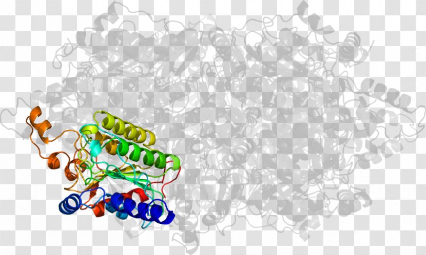 Rossmann Fold Beta Sheet Logo Protein Superfamily Brand - Propionylcoa Transparent PNG