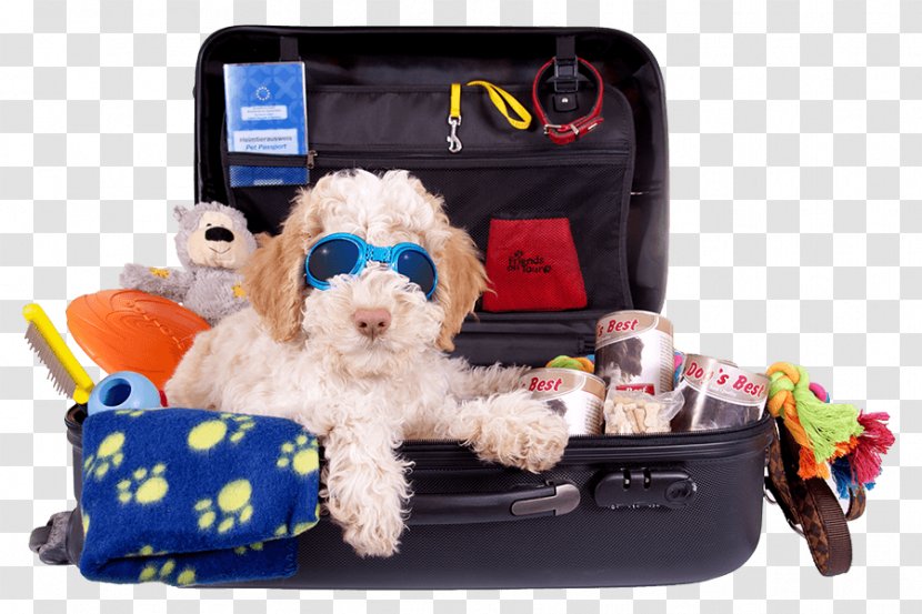 Puppy Dog Travel Pet Sitting Suitcase - Greeting Note Cards Transparent PNG