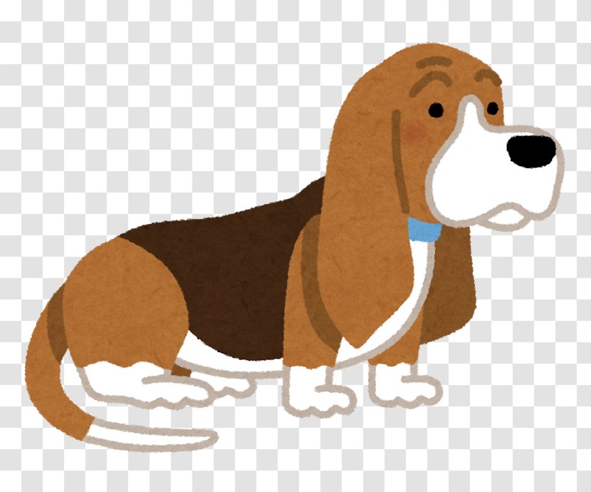 Basset Hound Dog Breed Puppy いらすとや Transparent PNG