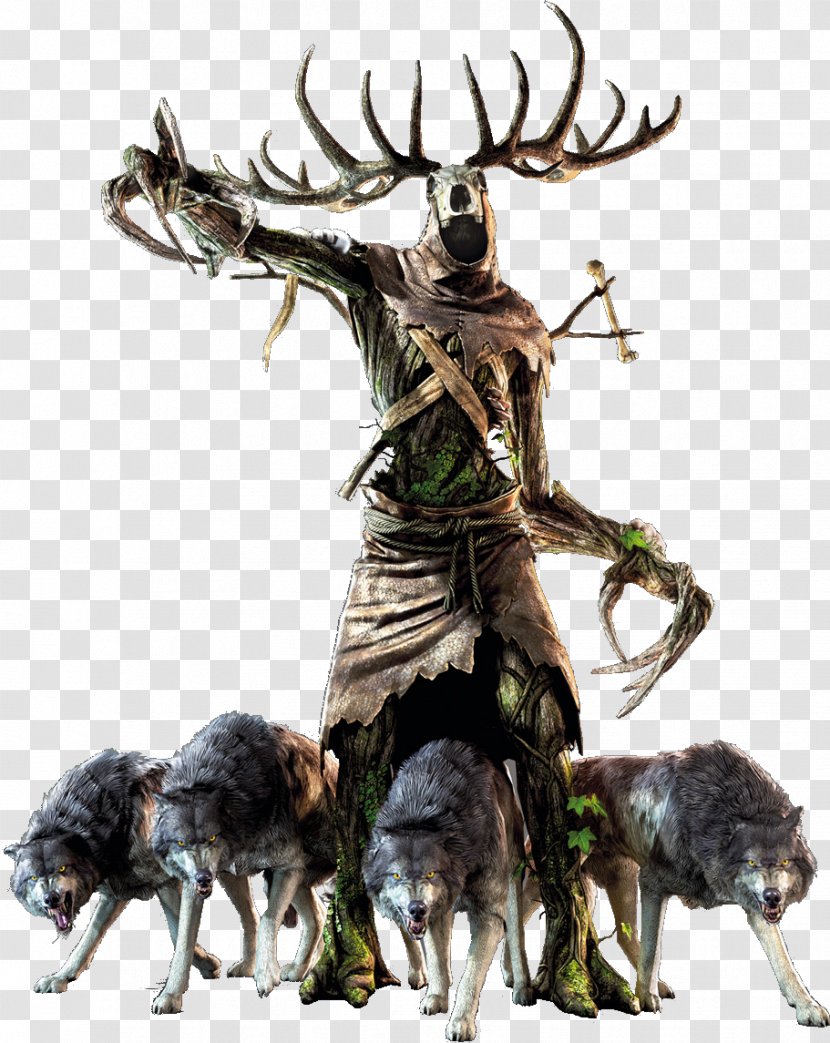 The Witcher 3: Wild Hunt Leshy Video Game CD Projekt Transparent PNG