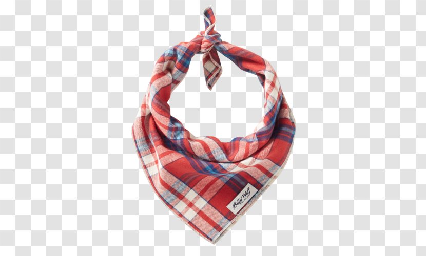 Scarf Tartan Kerchief Evenflo ExerSaucer Doorway Jumper Collar - Toy Transparent PNG