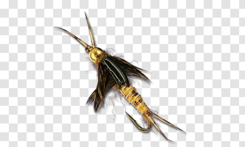 Bead Insect Artificial Fly Stoneflies Animal - Trout Transparent PNG