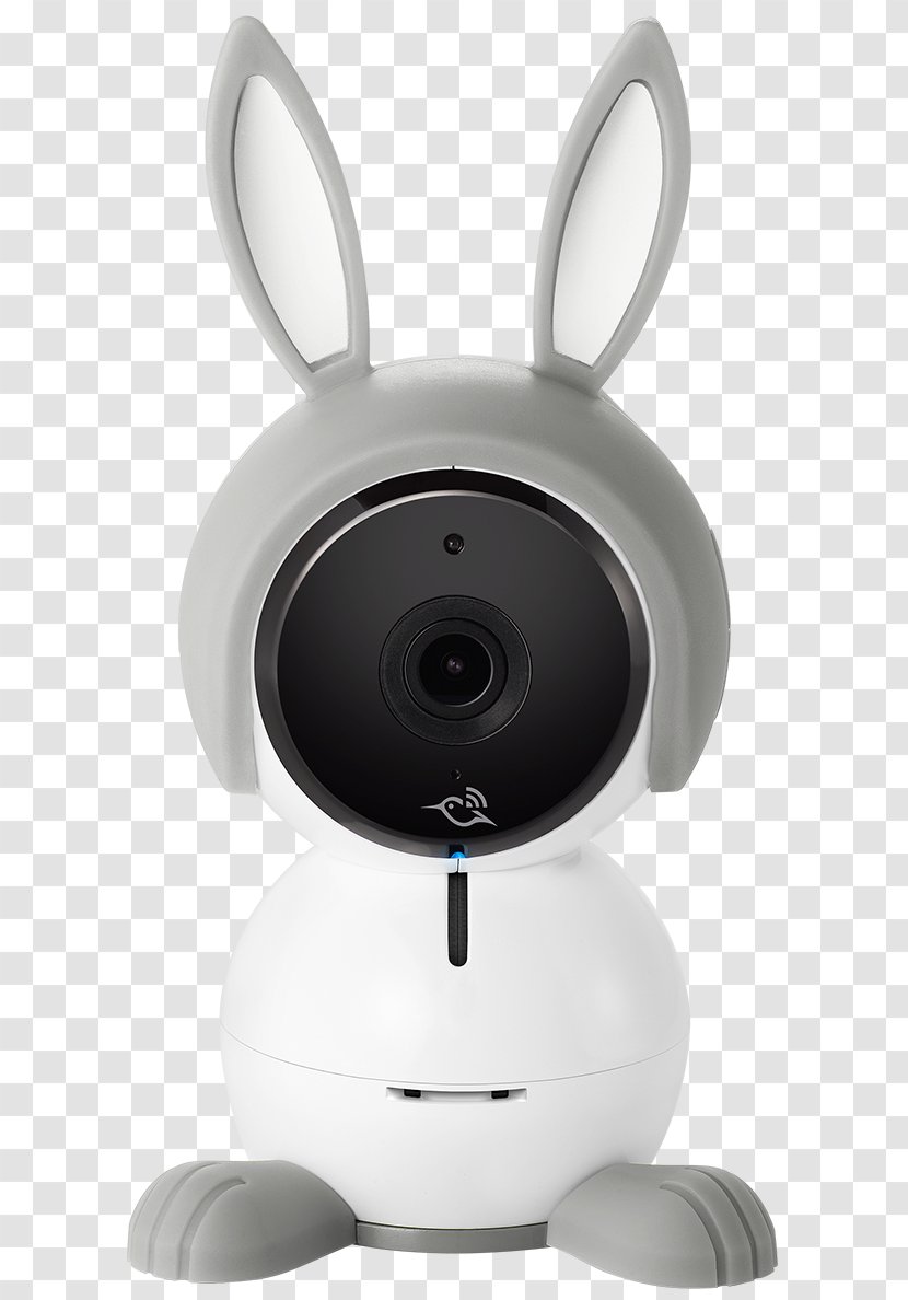 Baby Monitors Camera Infant Child Netgear - Webcam - Hd Brilliant Light Fig. Transparent PNG