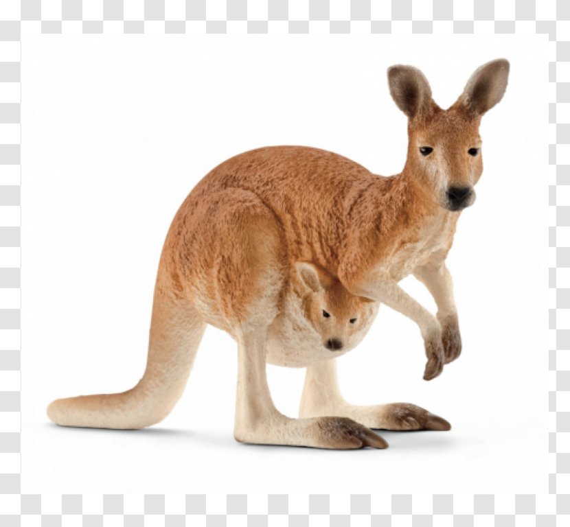 Schleich Gr Action & Toy Figures Kangaroo Transparent PNG