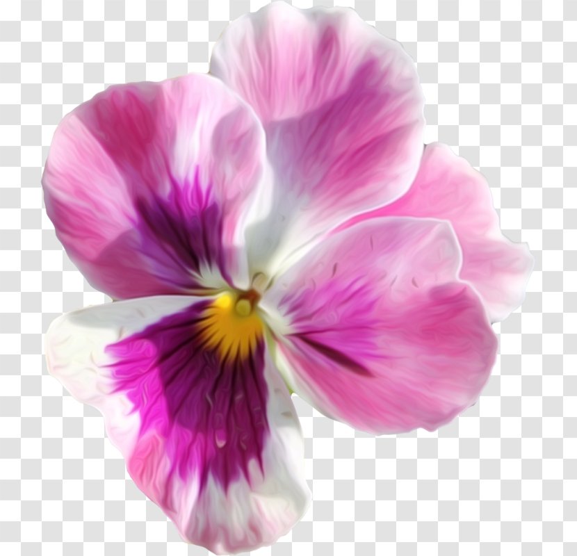 Pansy Flower Wreath Transparent PNG