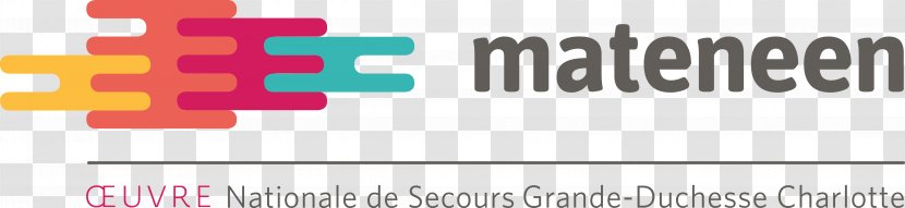 Logo Digital Inclusion Asbl Product Design Œuvre Nationale De Secours Grande-Duchesse Charlotte - Luxembourg - Education Institute Flyer Transparent PNG