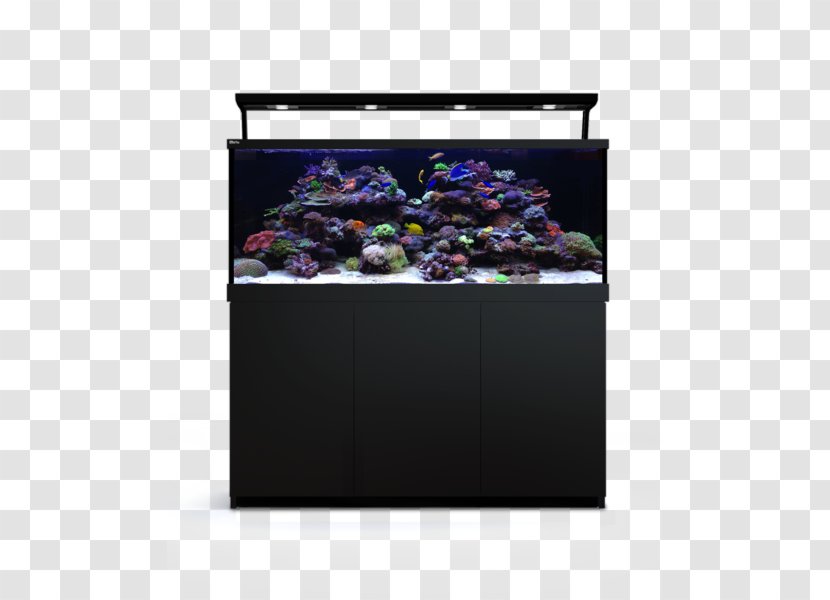 Red Sea Max S650 Coral Reef Aquarium - Lighting Transparent PNG