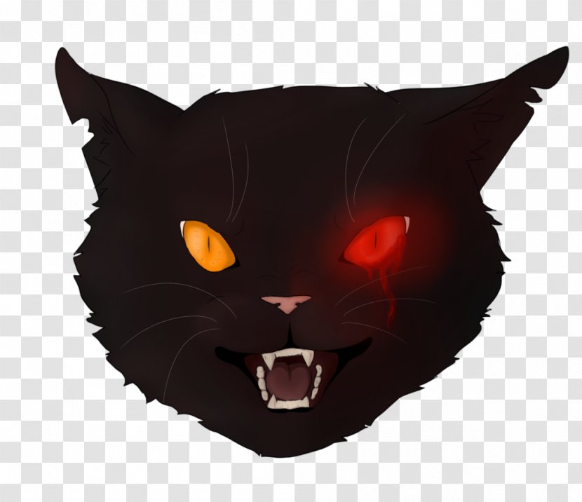 Whiskers Cat Snout - Small To Medium Sized Cats Transparent PNG