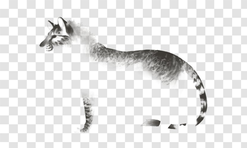 Whiskers Tiger Cat Red Fox Fur - Carnivoran Transparent PNG