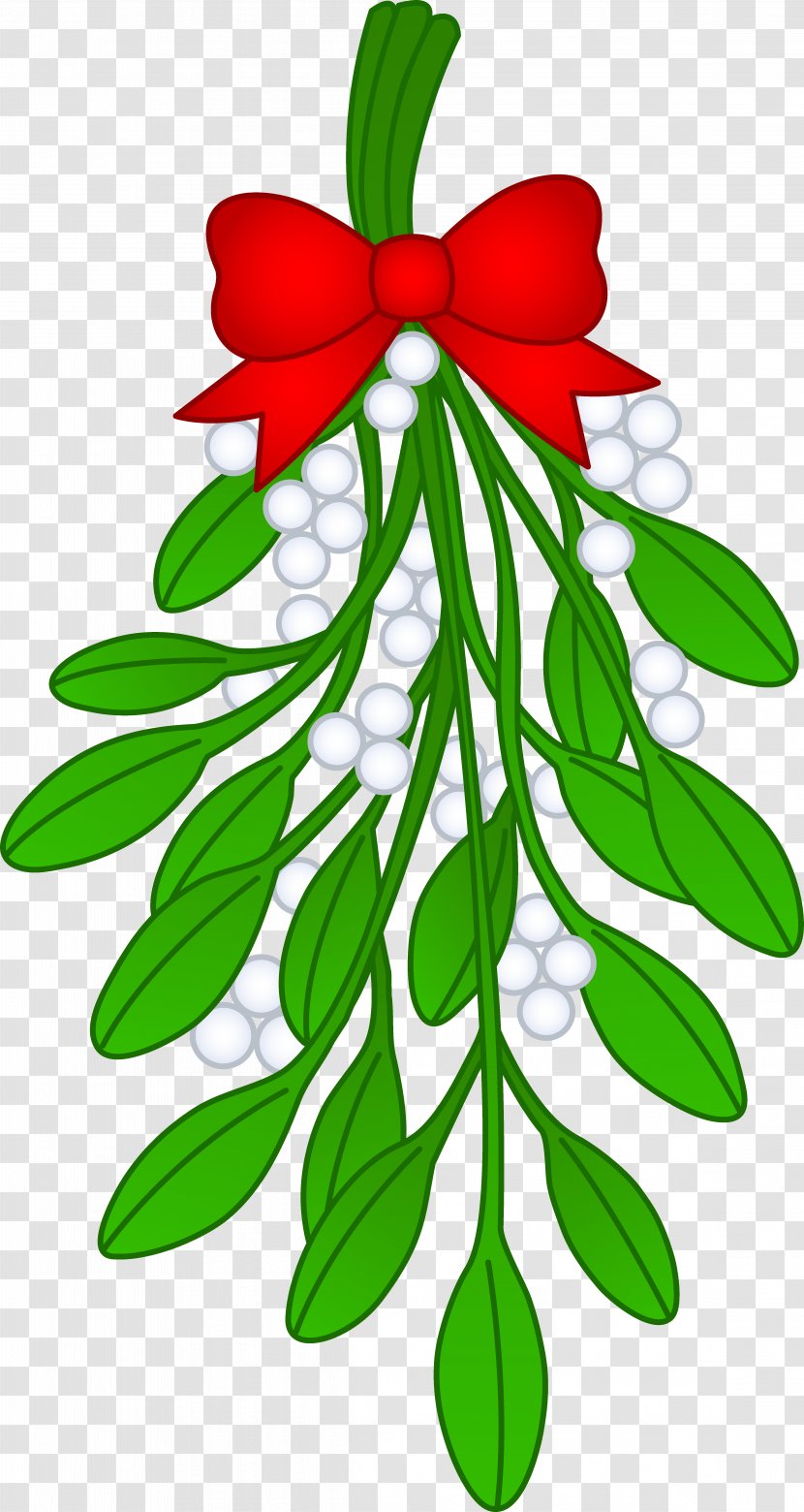 Mistletoe Christmas Kiss Santa Claus Clip Art - Leaf - Cliparts Transparent Transparent PNG