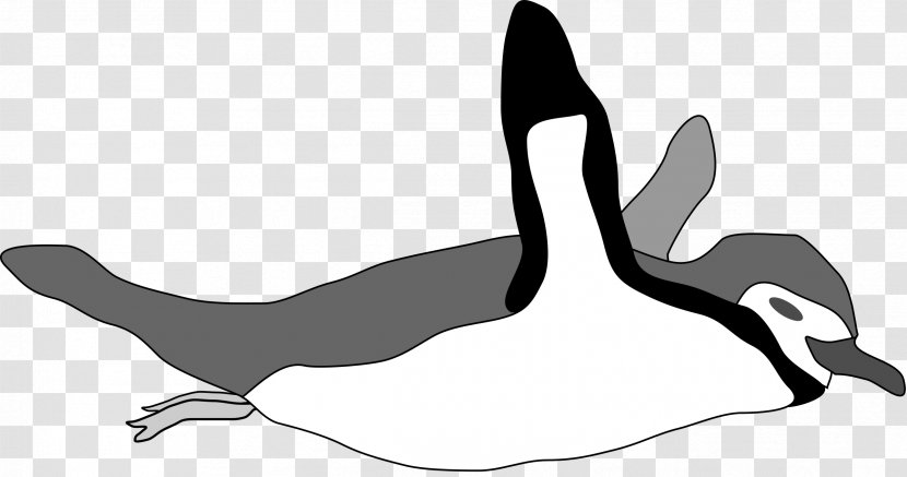 Penguin Swimming Clip Art - Arm - Penguins Transparent PNG