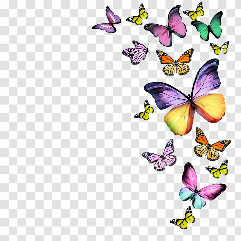 Cynthia (subgenus) Butterfly Moths And Butterflies Insect Pollinator Transparent PNG