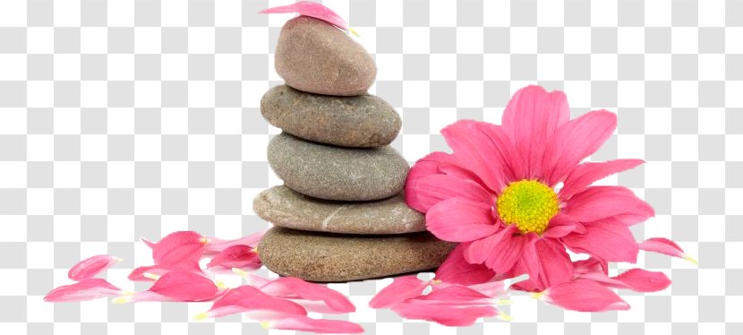 Stock Photography Royalty-free - Petal - Spa Stones Transparent PNG