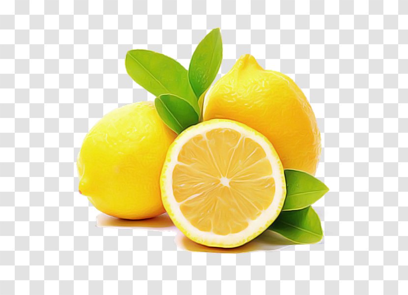Lemon Persian Lime Citrus Citric Acid - Peel Fruit Transparent PNG