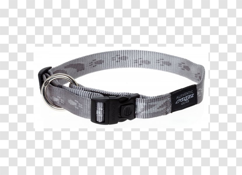 Dog Collar Leash Cat - Black Transparent PNG