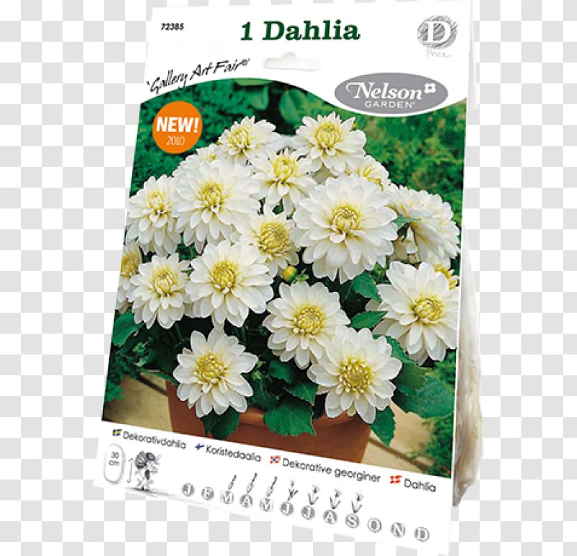 Chrysanthemum Dahlia Cut Flowers Flora Art Fair - Long Gallery Transparent PNG
