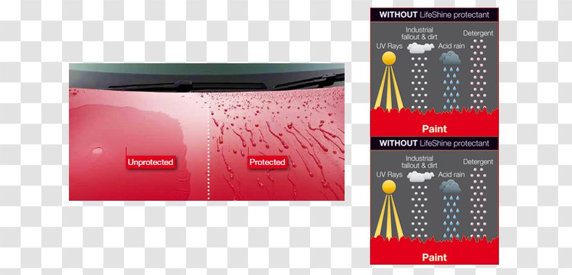 Ivybridge Motors Car Honda Motor Company Brand Graphics - Dealership - Paint Protection Transparent PNG