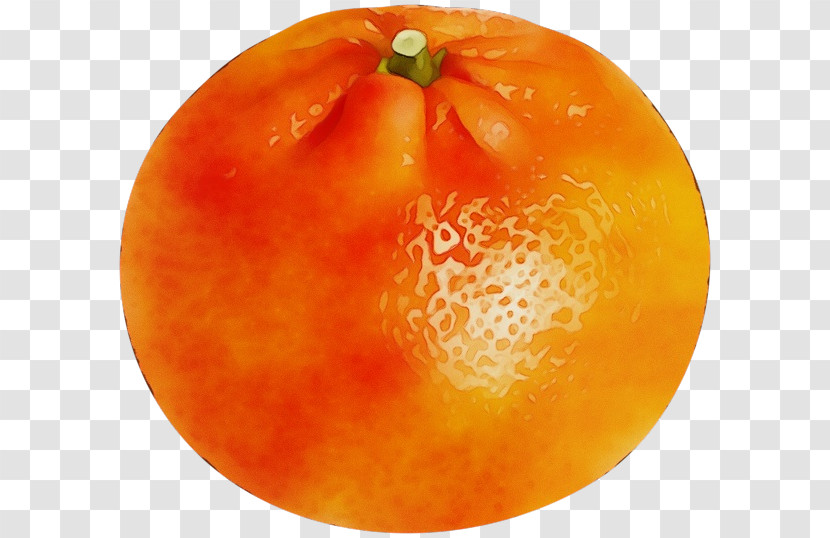 Tomato Transparent PNG