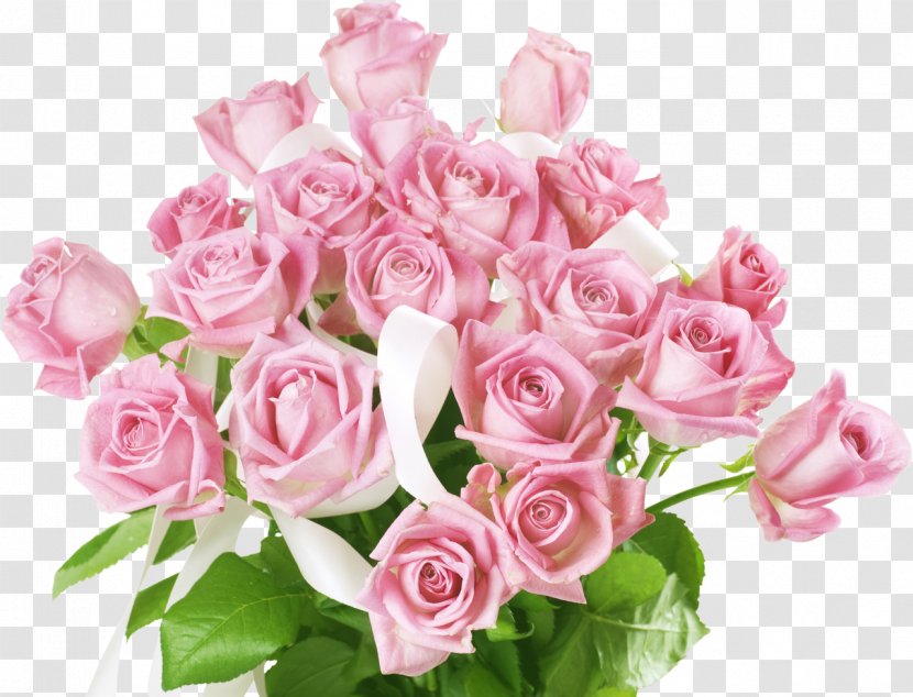 International Women's Day Desktop Wallpaper Pink Flower Bouquet Valentine's - Color - Rose Transparent PNG