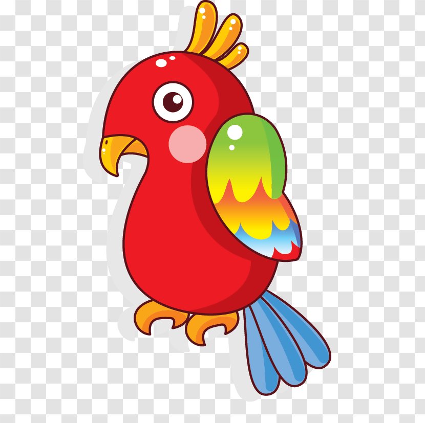 Lovebird Parrot Drawing - Rooster - Bird Transparent PNG