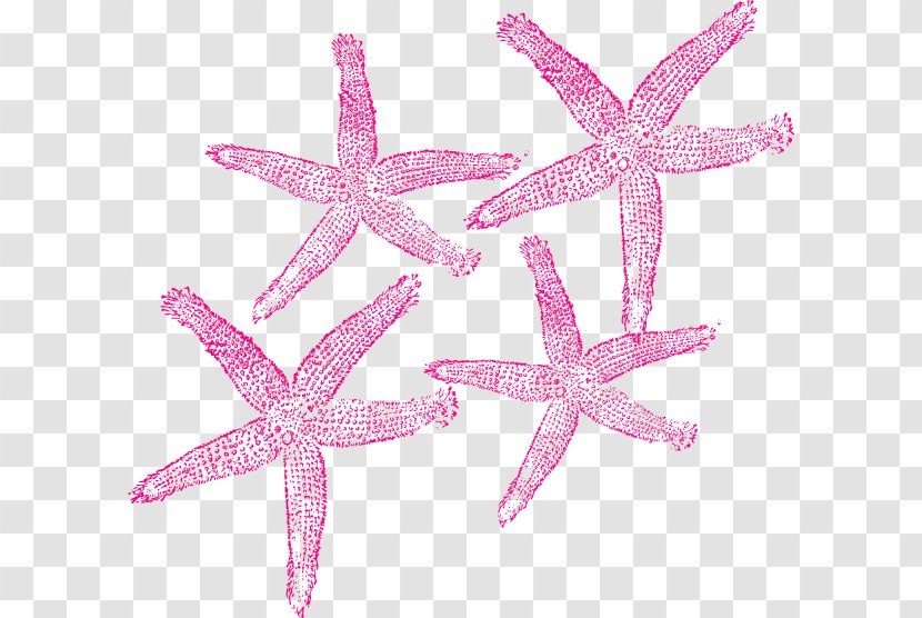 Starfish Clip Art Openclipart Image Free Content - Ppt Transparent PNG