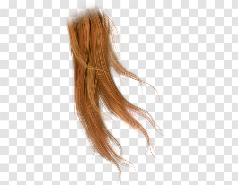 Wig Brown Hair Cabelo Black - Step Cutting Transparent PNG
