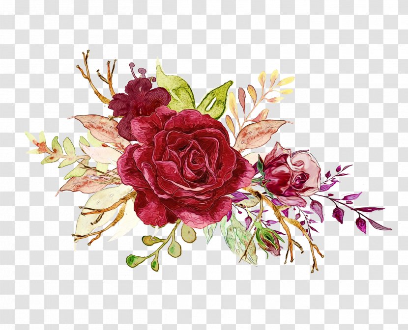 Garden Roses - Rose Family - Flowering Plant Transparent PNG