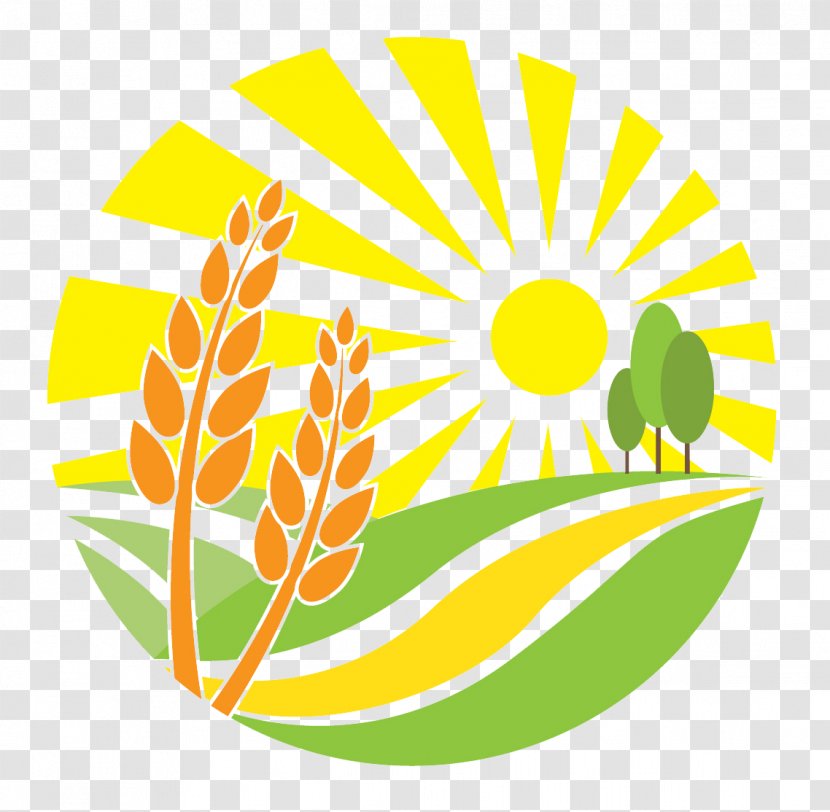 Agriculture Vector Graphics Farmer Agribusiness - Artwork - Area Transparent PNG