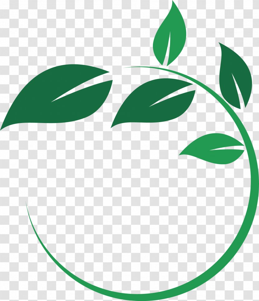 Main Street Wellness Studio Leaf Circle Plant Stem Logo - Red Maple Transparent PNG