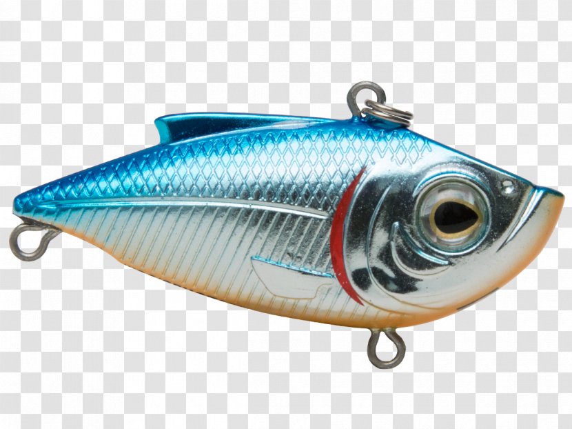 Spoon Lure Oily Fish Herring AC Power Plugs And Sockets - Fishing - Livingston Lures Transparent PNG