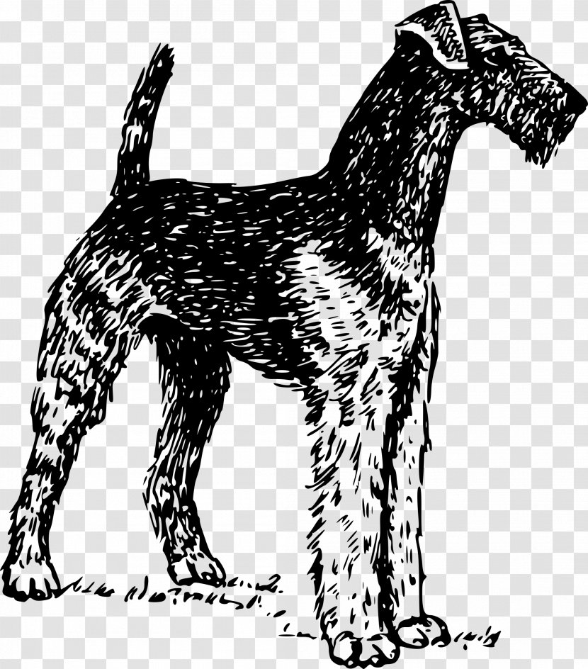 Airedale Terrier Bull Soft-coated Wheaten West Highland White Yorkshire - Vertebrate - Puppy Clipart Transparent PNG