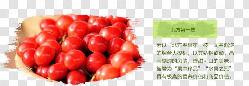 Tomato Cherry Fruit Computer File - Diet Food Transparent PNG