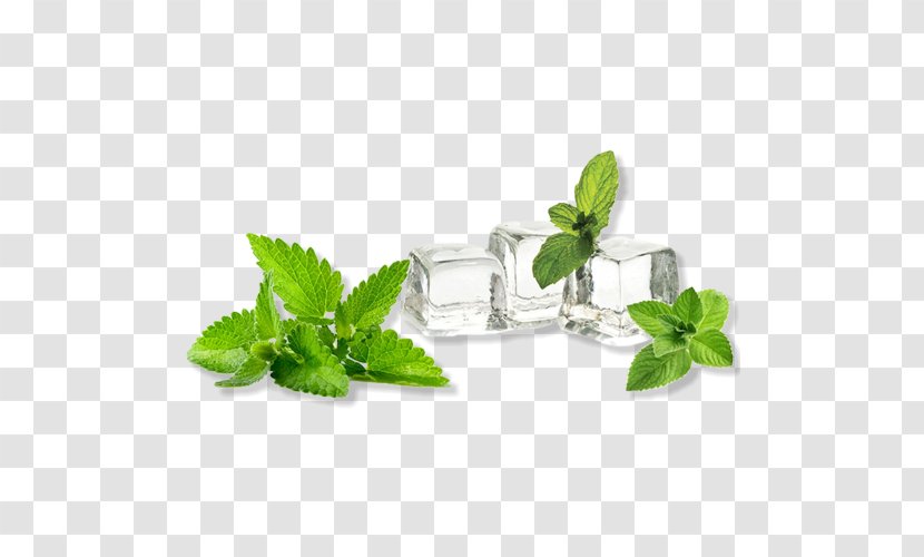 Electronic Cigarette Aerosol And Liquid Lemon Balm Essential Oil Mentha Spicata - Mint Transparent PNG