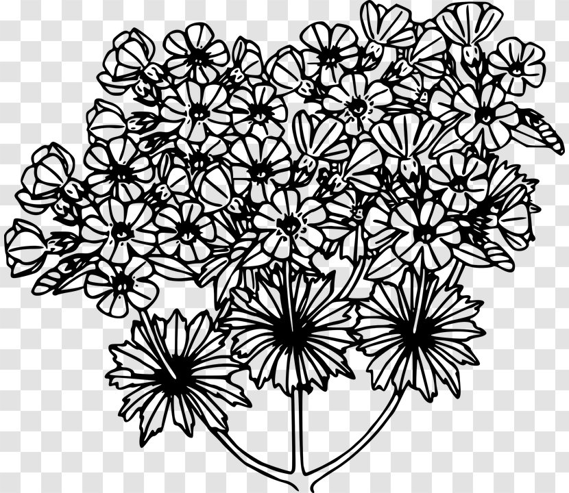 Photography Black And White Flower - Plant Transparent PNG