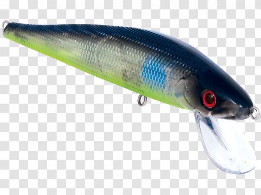 Sardine Stick Master Oily Fish Milkfish Water - Ac Power Plugs And Sockets Transparent PNG