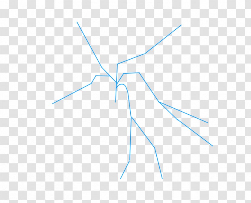 Insect Line Point Angle - Invertebrate Transparent PNG