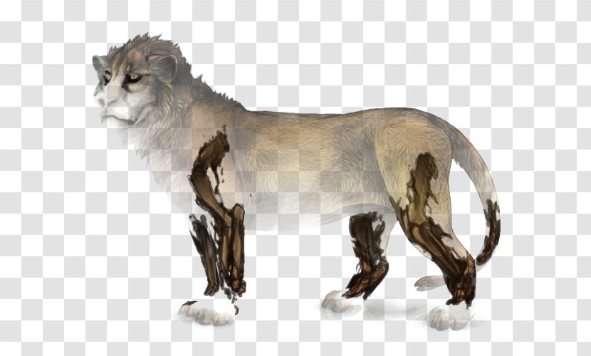 Lion Cougar Cat Wildebeest Chimera - Fur Transparent PNG