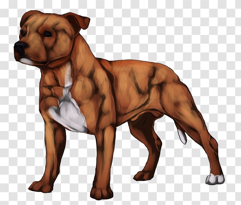 Dog Breed American Pit Bull Terrier Snout - Staffordshire Transparent PNG
