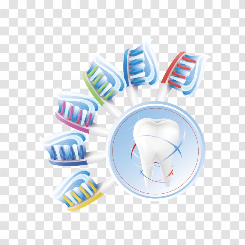 Human Tooth Euclidean Vector Teeth Cleaning - Brushing - Toothbrush And Transparent PNG