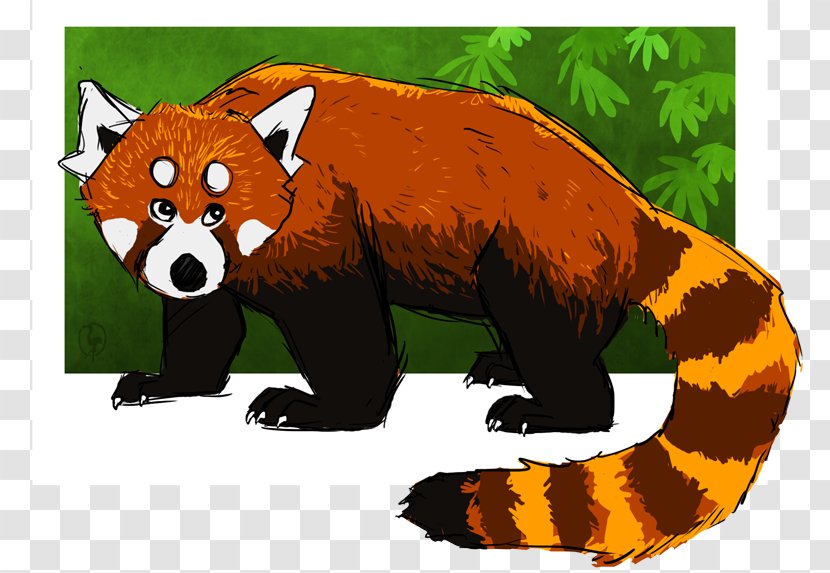 Red Panda Bear Vertebrate Giant Carnivora - Hand-painted Transparent PNG