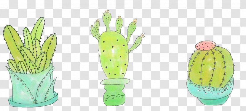 Cactaceae Cactus Y Suculentas Drawing Succulent Plant - Hand Painted Small Fresh Plants Transparent PNG