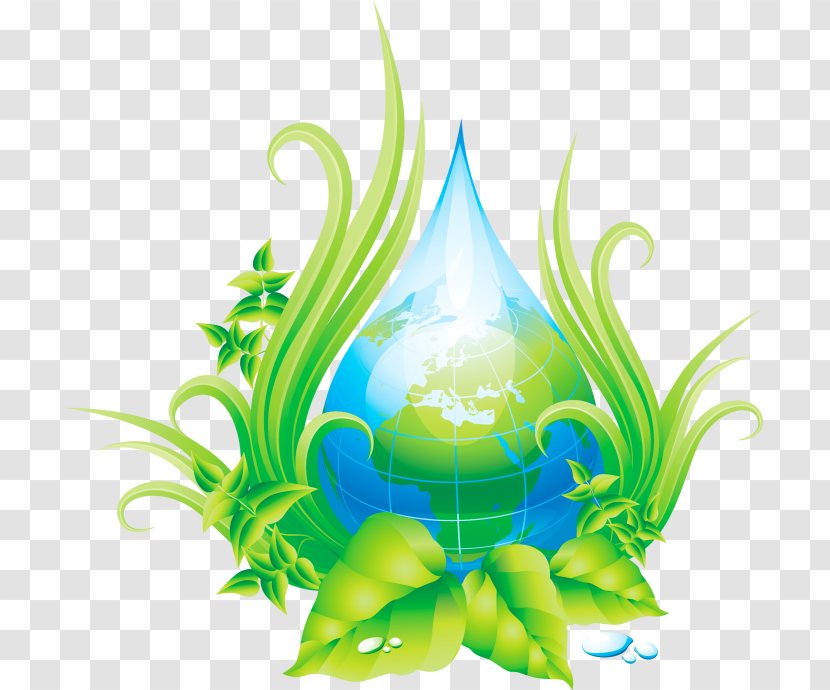 Environmental Protection Natural Environment Ecology - Leaf Transparent PNG