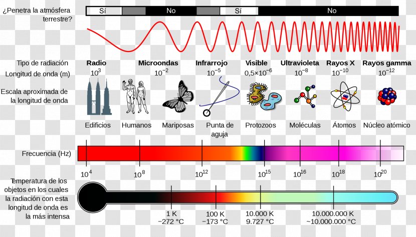 Light Electromagnetic Spectrum Radiation - Cartoon - Materia Transparent PNG