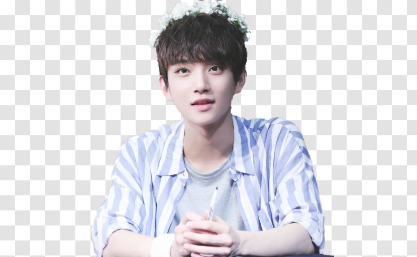 JOSHUA Going Seventeen K-pop Boy Band - Hairstyle - Kim Mingyu Transparent PNG