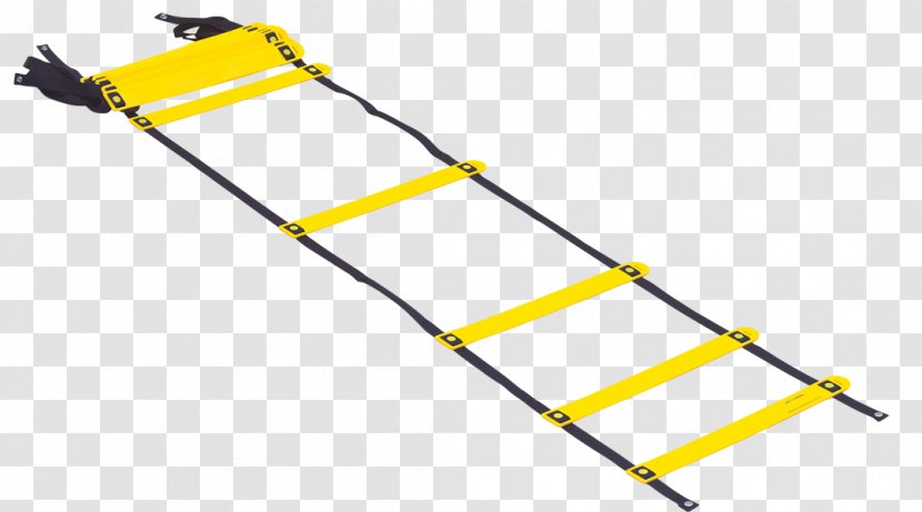 Agility Drill Physical Exercise Equipment Ladder - Material - Gym Transparent PNG