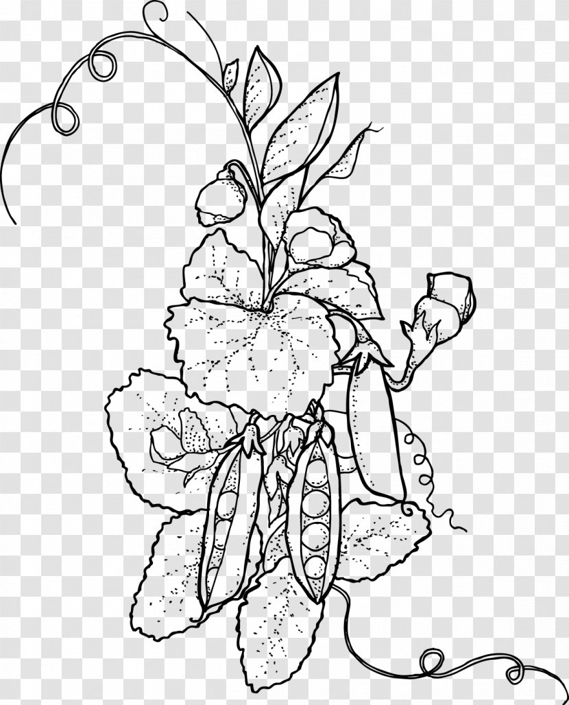 Floral Design Cut Flowers Drawing Visual Arts - Cartoon - Sweet Pea Transparent PNG