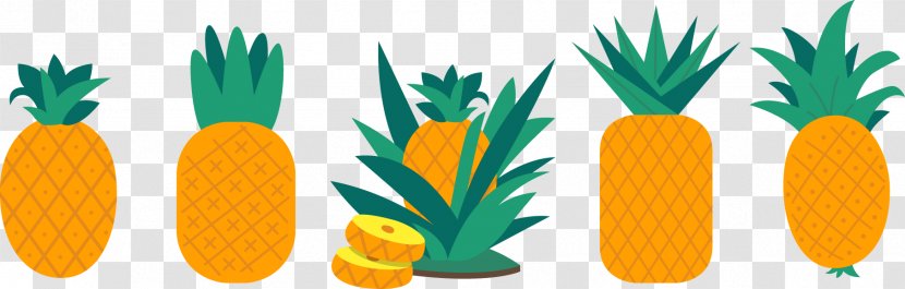 Pineapple Fruit - Bromeliaceae - Cartoon Transparent PNG