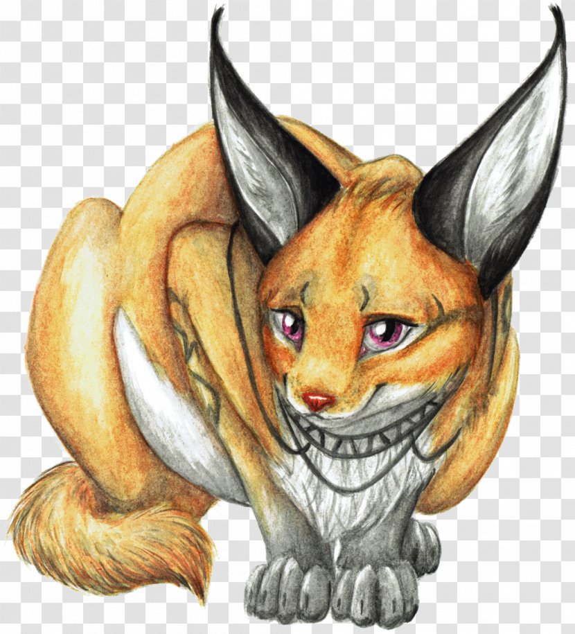 Whiskers Red Fox Wildcat Illustration - Fauna - Cat Transparent PNG