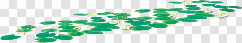 Leaf Lotus Effect - Area Transparent PNG