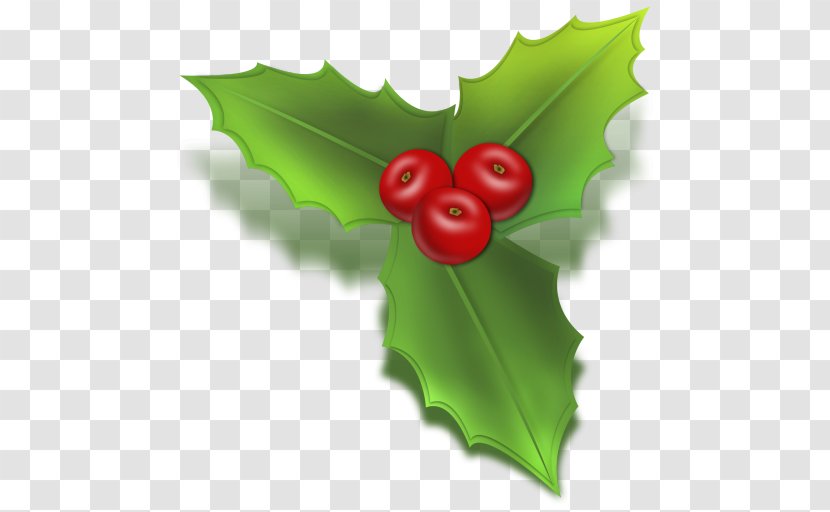 Common Holly Christmas Tree Clip Art - Leaf Transparent PNG